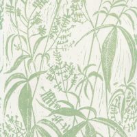This hand block printed wallpaper sample is in a warm toned green pattern on a light warm white ground. The pattern of the hand block printed wallpaper is a wild lemon verbena leaf design.